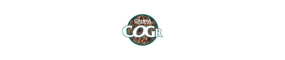 Slab Canna Cogr sustrato de coco | Horticulture Grow