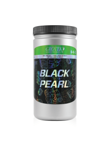 Black Pearl Grotek