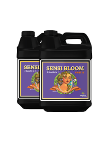 Sensi Bloom A+B PH Perfect Advanced Nutrients