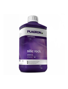 Silic Rock Plagron