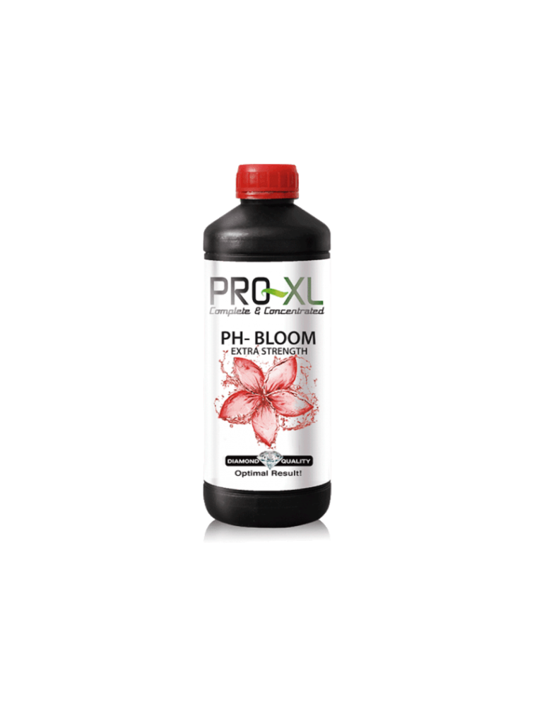 PH- Bloom 1L PRO-XL