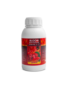 Bloom Explosion Premiun 13-14 Horticulture T.S.